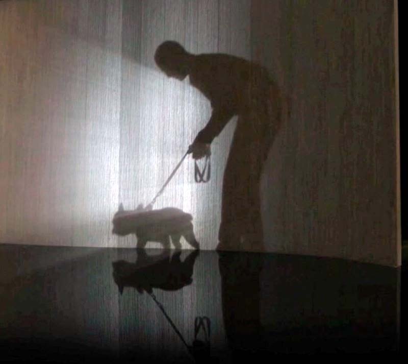 Shadow Effect: Person and Dog